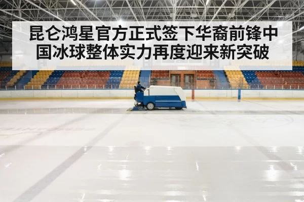 hockey rink